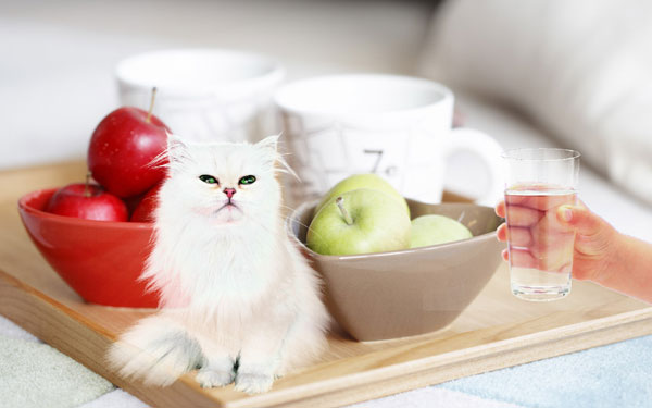 vximage抠像合成图